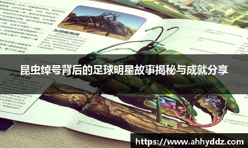 昆虫绰号背后的足球明星故事揭秘与成就分享